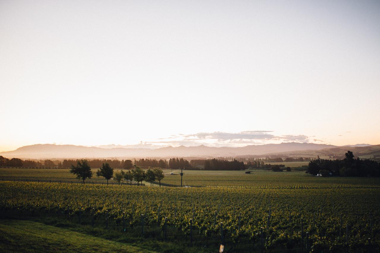 Black Estate B & B Waipara Buitenkant foto